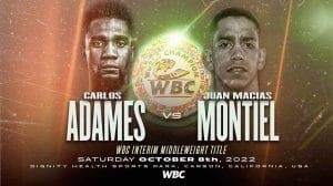 adames-vs.-macias-montiel-por-el-interino-medio-del-cmb-–-solo-boxeo