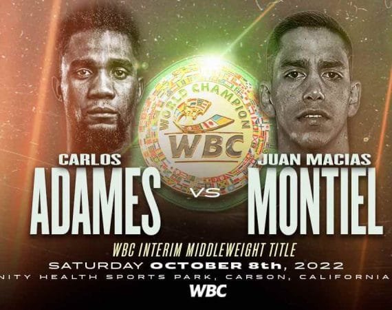 adames-vs.-macias-montiel-por-el-interino-medio-del-cmb-–-solo-boxeo