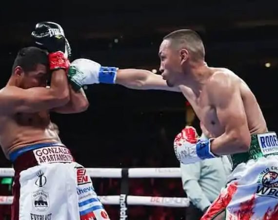 peleon-–-solo-boxeo